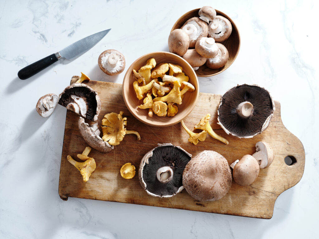 Cooking with various mushrooms